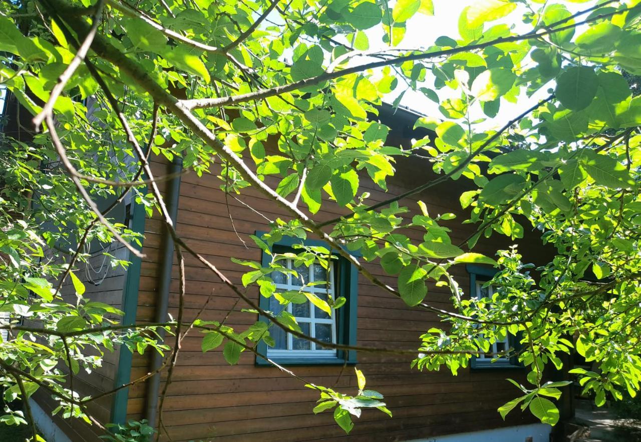 Ferienhaus Himmelreich Seebenstein 外观 照片